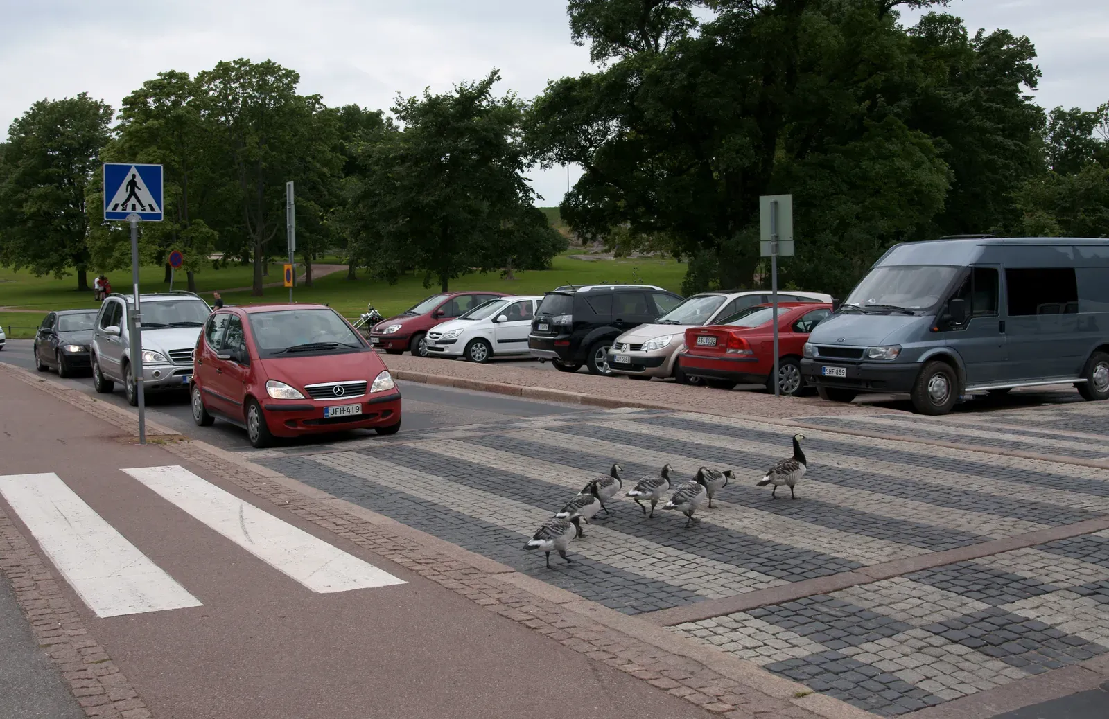 10. Using Roads, Rails, and Even Our Rules to Get Around (Image Credits: Wikimedia)