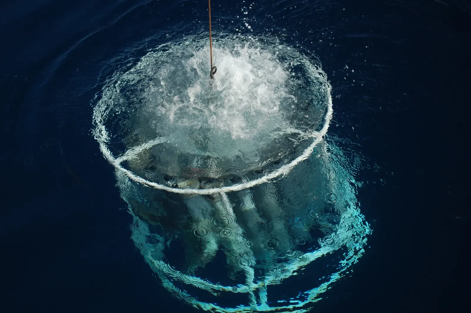 How Scientists Study a Layer You Will Never See (fish2800, Public domain)