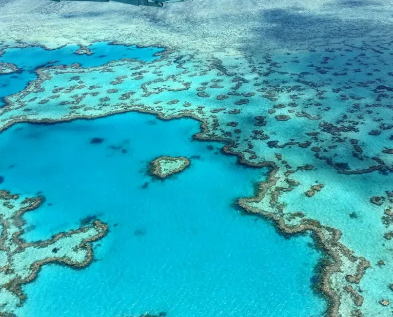 What This Means For You, Even If You Never Visit The Reef (Image Credits: Pexels)