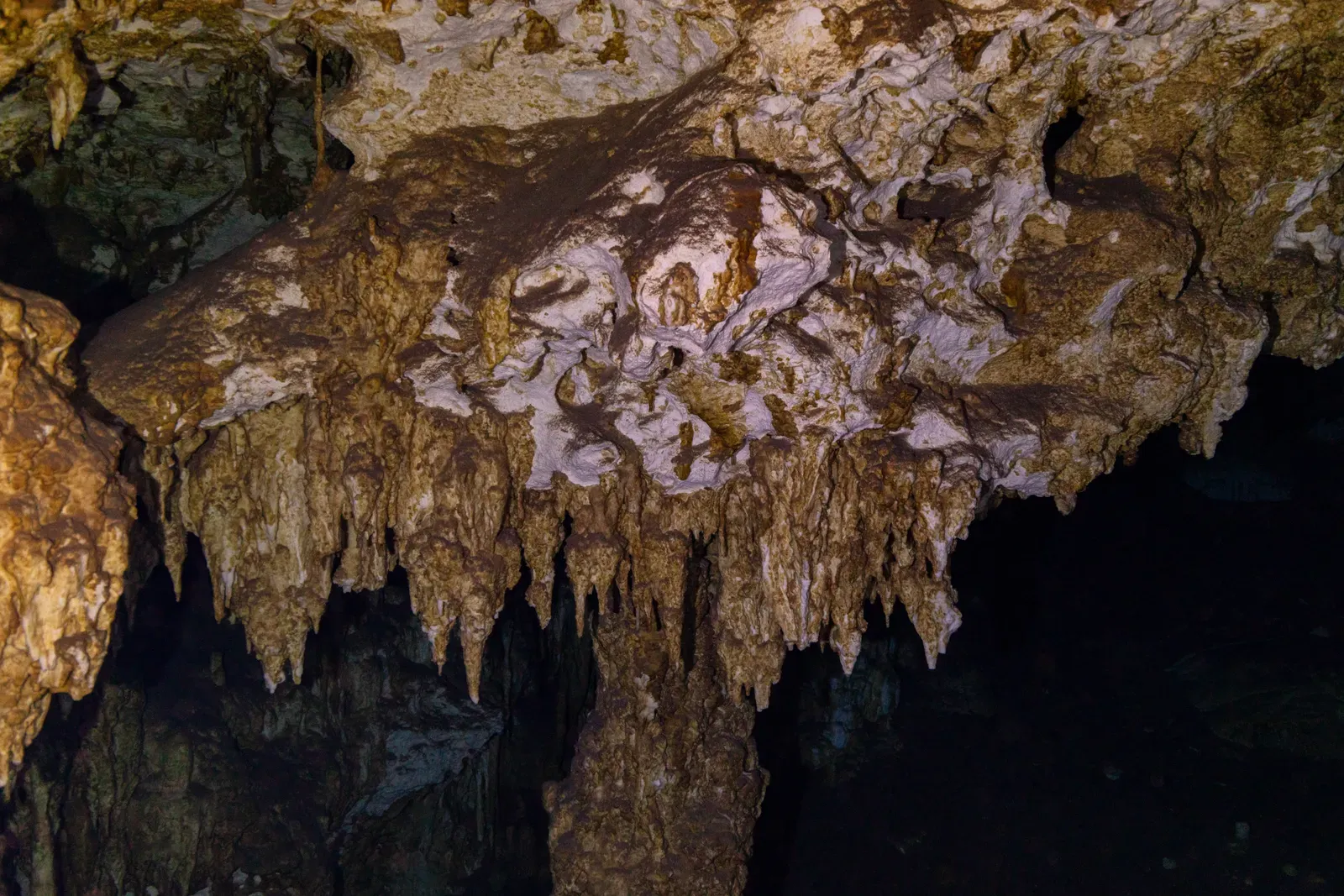 #11 - The Yucatán Cenotes, Mexico: Sacred Pools With Older, Hidden Stories (By Diego Delso, CC BY-SA 4.0)