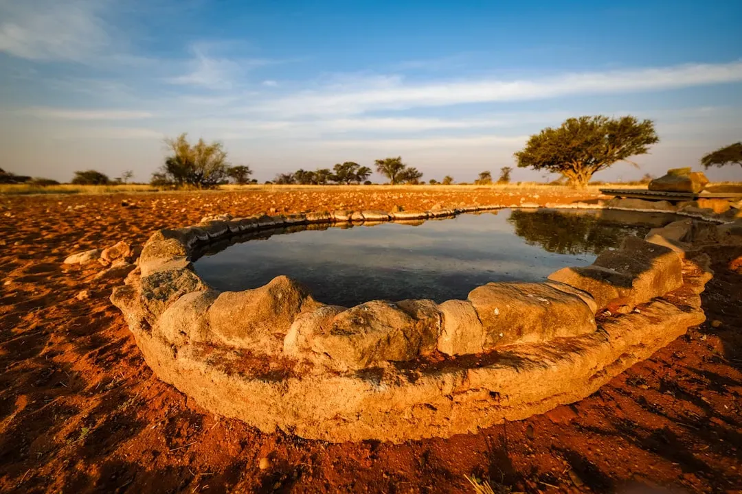 Nabataean Desert Hydrology: Turning Arid Canyons into Living Networks (Image Credits: Unsplash)