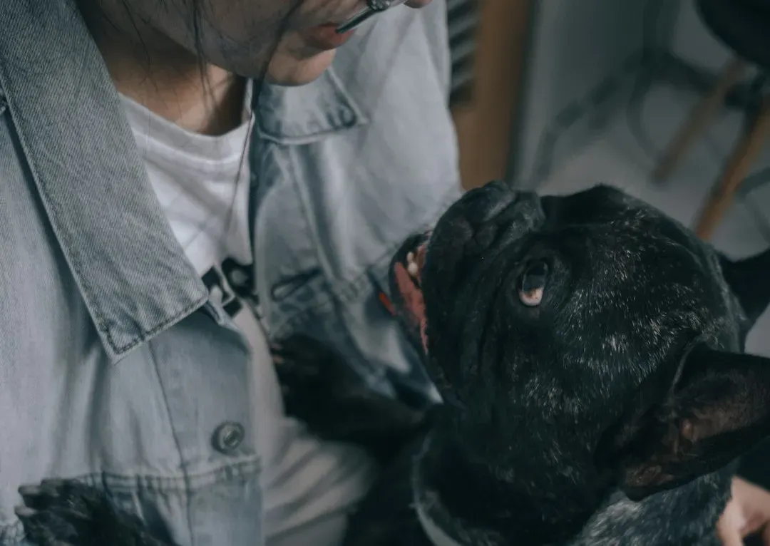 Aquarius: Emotionally Detached, Overwhelmed By Constant Need (Image Credits: Unsplash)