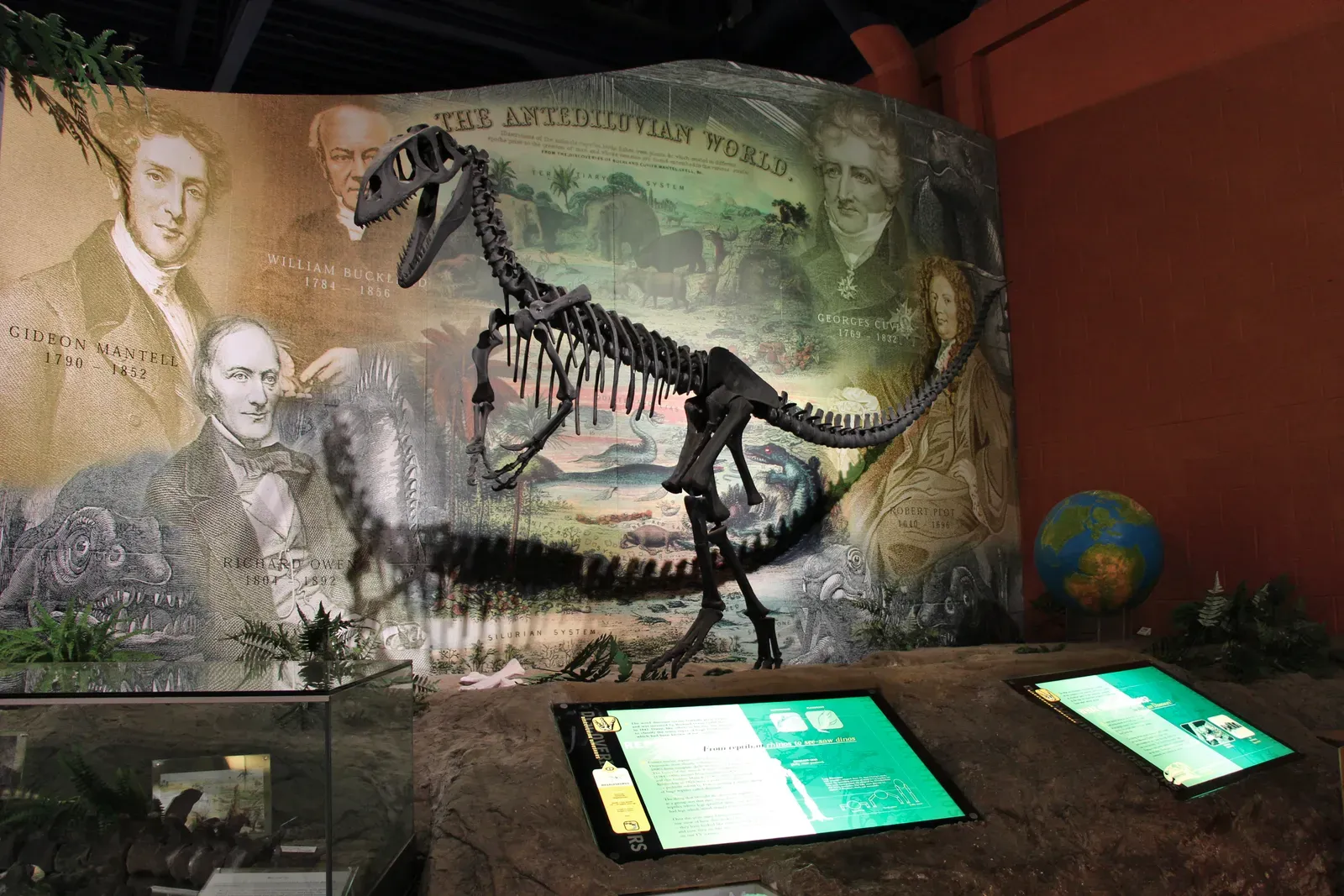 How You Can Join the Hunt: Small Actions, Big Discoveries (Image Credits: Wikimedia)