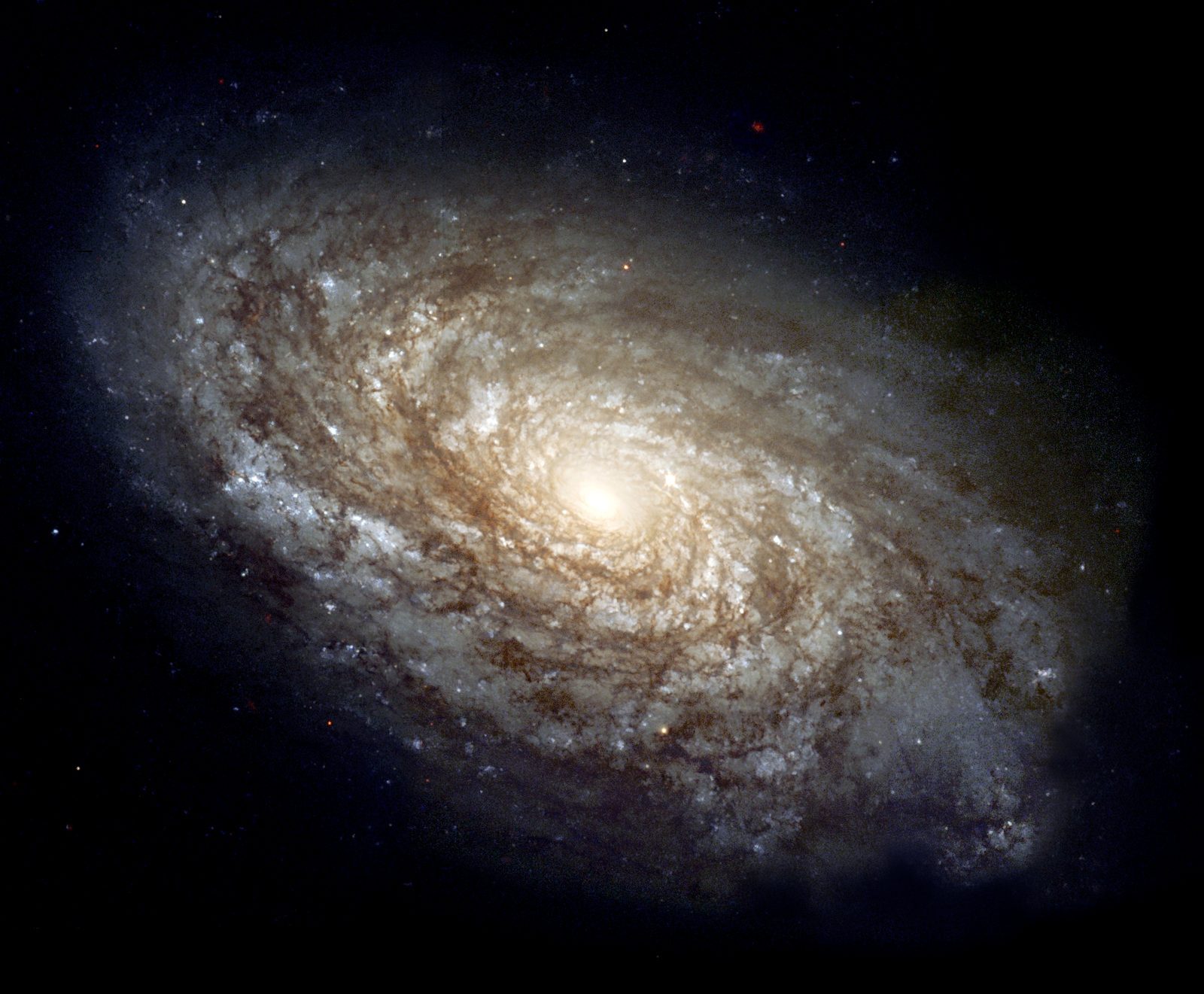 Galaxies Too Big, Too Early: The James Webb Shock (Image Credits: Wikimedia)