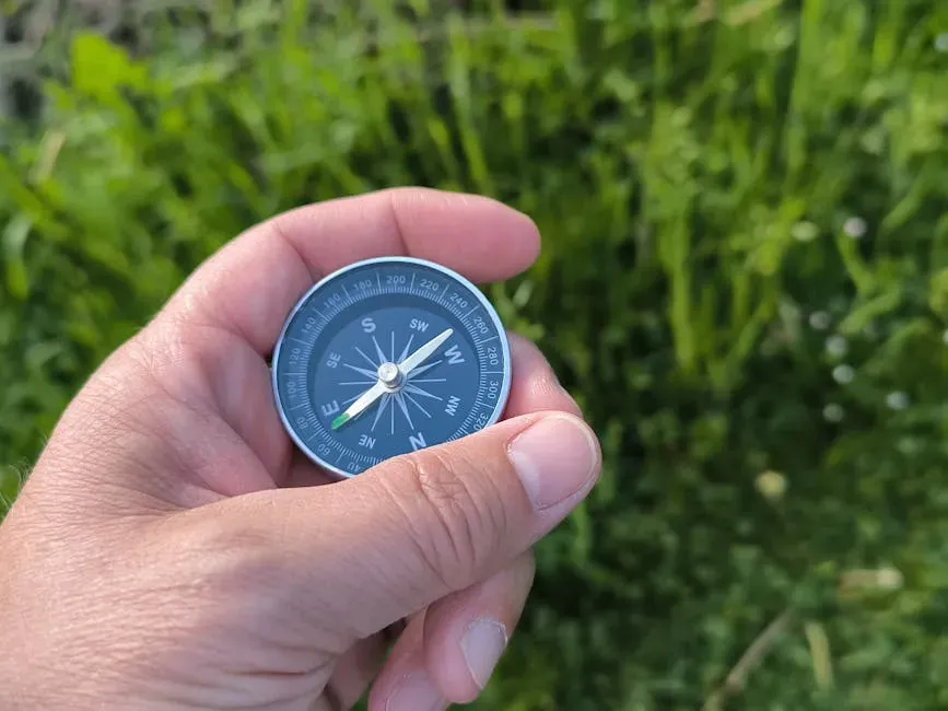 Why Your Compass Is Lying a Little More Each Year (Image Credits: Pexels)