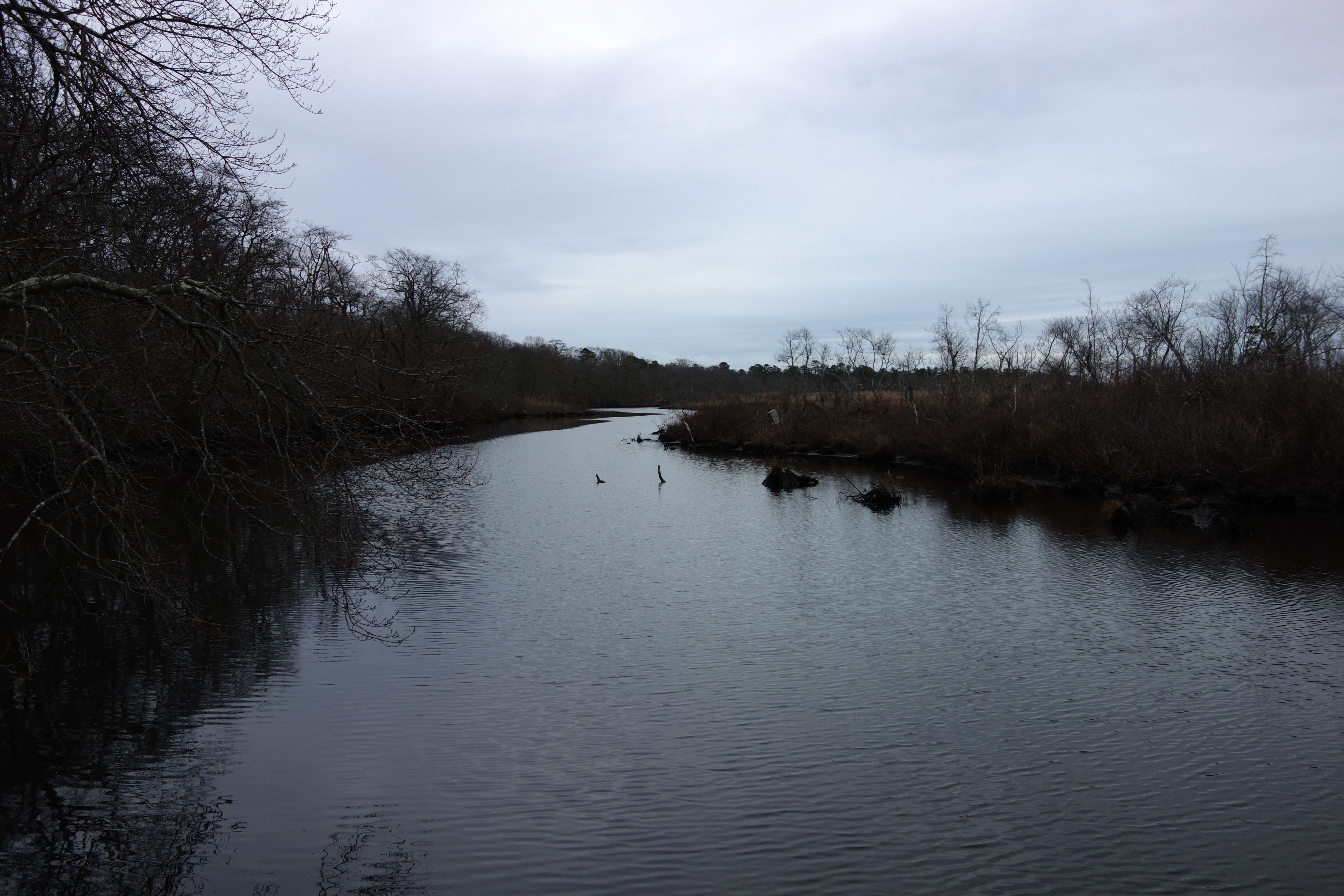 A River With Two Protections (Image Credits: Wikimedia)