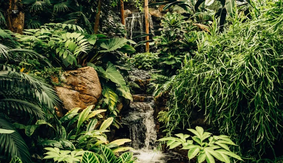 Why These Cities Stayed Hidden for So Long (Image Credits: Unsplash)