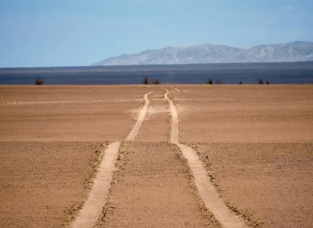 Conclusion: When You Can’t Trust Your Own Eyes (Image Credits: Unsplash)