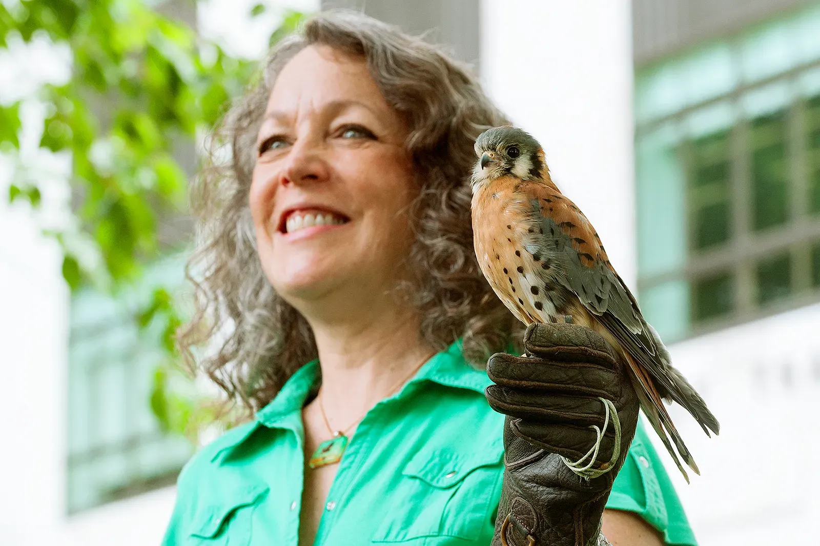 What Science Actually Knows About Birds And Human Faces (Suzanne DesIlets and Hermes, CC BY 2.0)