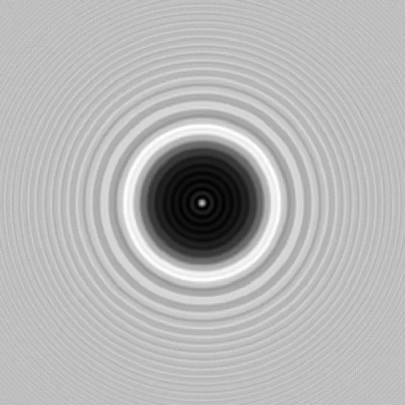 The Poisson Spot Validates Wave Theory of Light (Image Credits: Wikimedia)