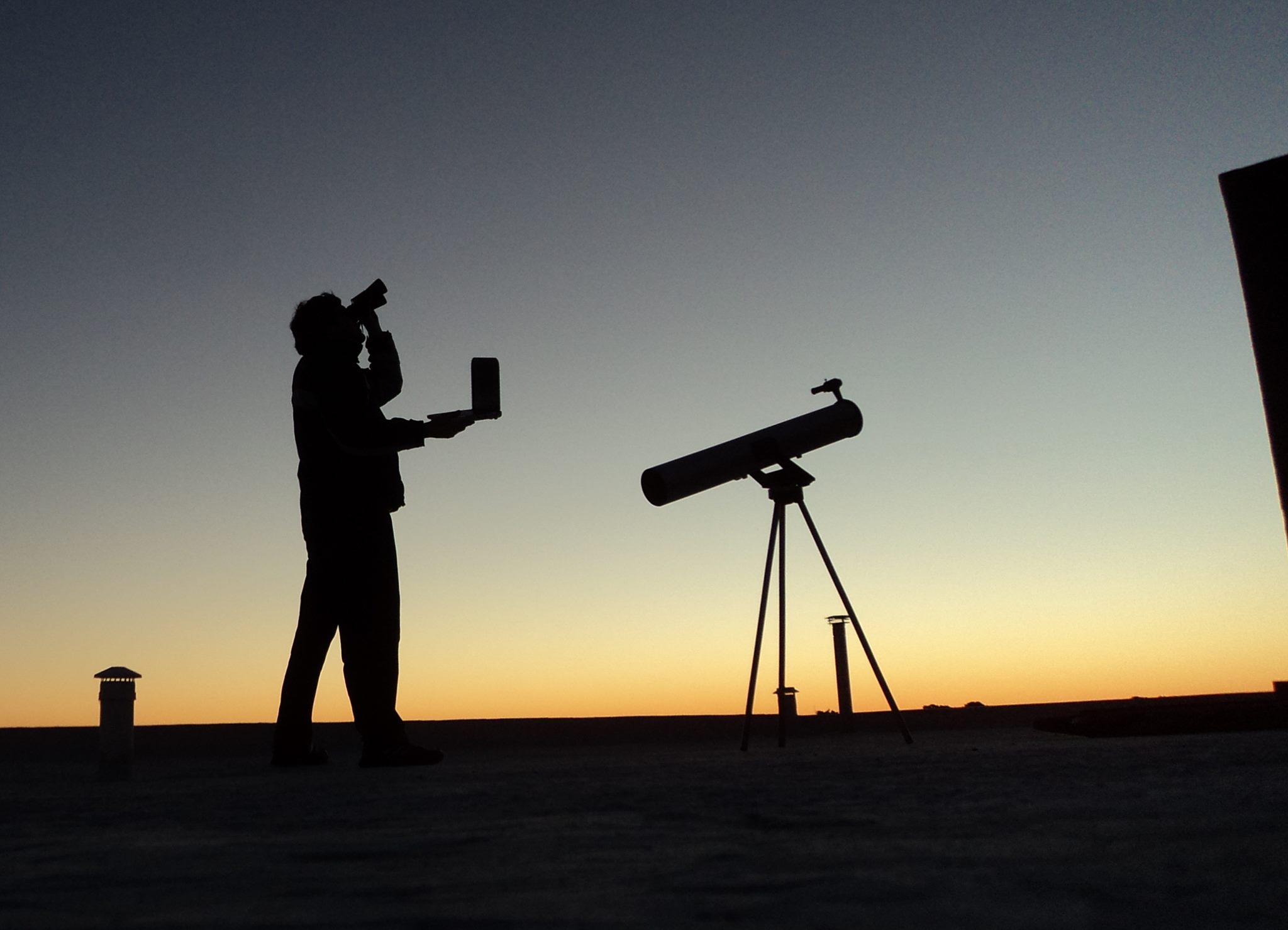 Act on Your Curiosity (Image Credits: Wikimedia)