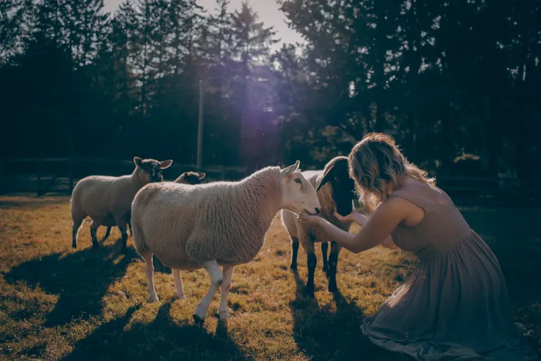 Talking to Animals Is a Quiet Rejection of Hyper-Rational, Disconnected Culture (Image Credits: Unsplash)