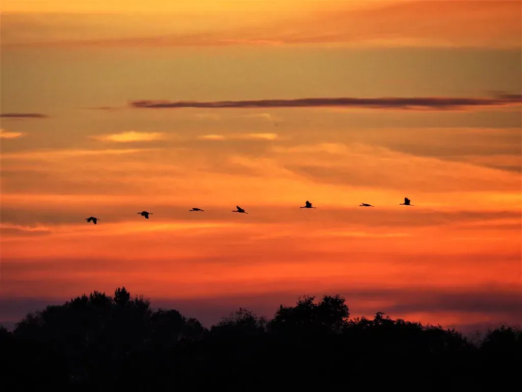 Conclusion – Choosing What Kind of Country We Want to Be (John William Hammond, Flickr, CC BY-SA 2.0)