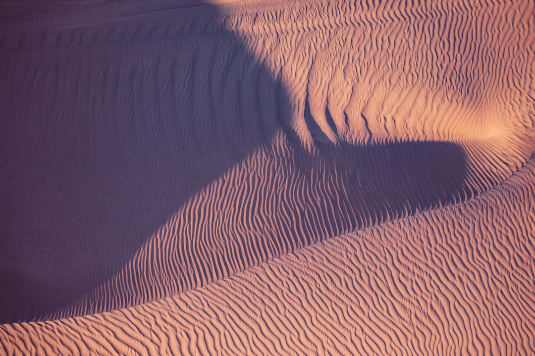 Desert Hums and Impossible Sources (Image Credits: Unsplash)