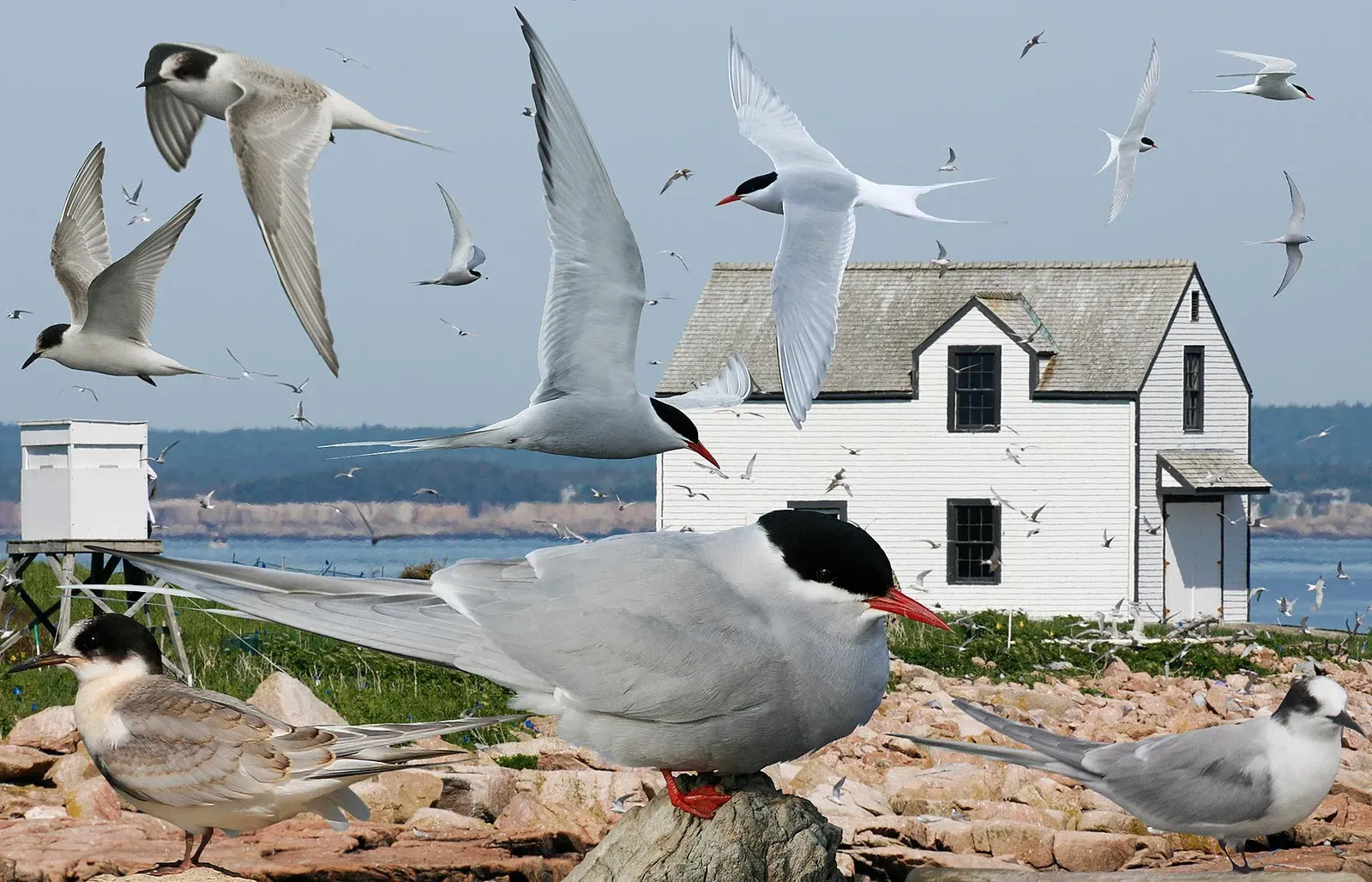 Record-Breaking Journeys Across the Globe (Image Credits: Wikimedia)