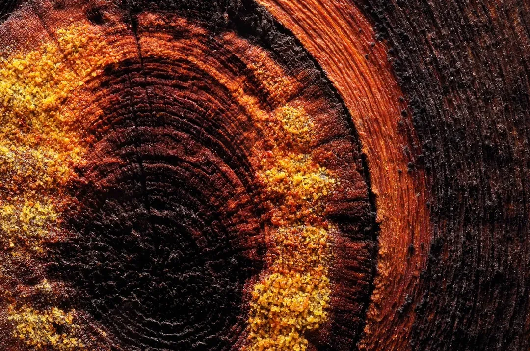 #8 - Metal Contamination From Eruptions Hundreds of Kilometers Away (Image Credits: Unsplash)