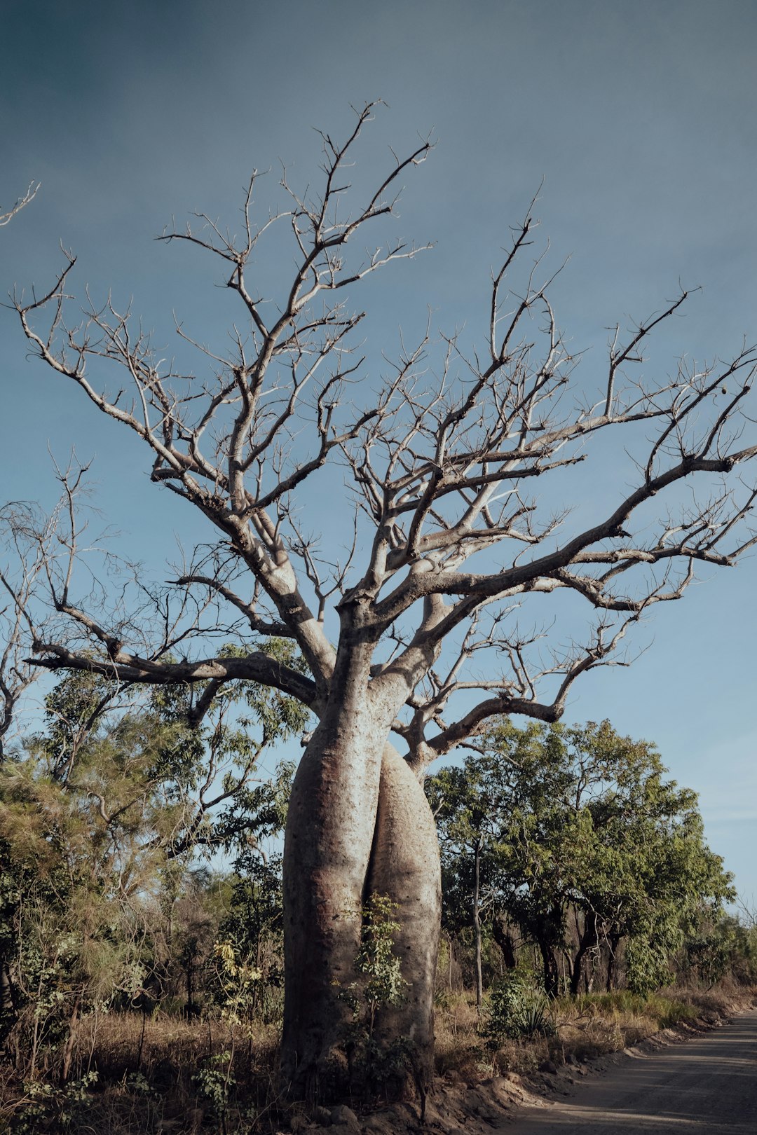 The Climate Puzzle (Image Credits: Unsplash)