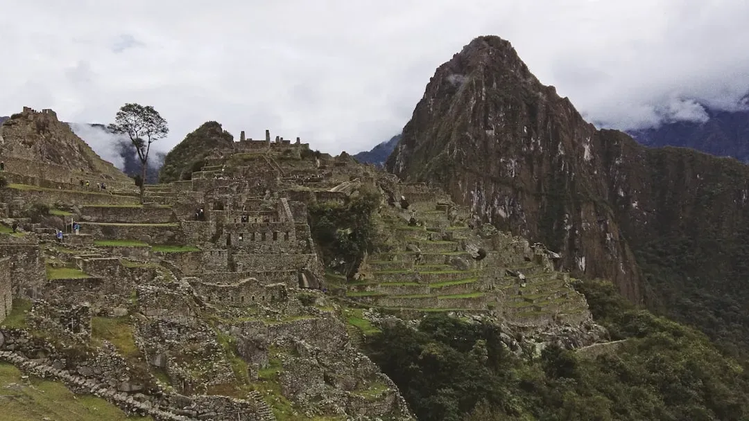 The Future Landscape: New Technologies, Old Landscapes, and What Comes Next (Image Credits: Unsplash)