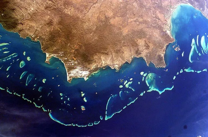 What This Means for the Future: A Reef More Alien Than We Admitted (eutrophication&hypoxia, Flickr, CC BY 2.0)