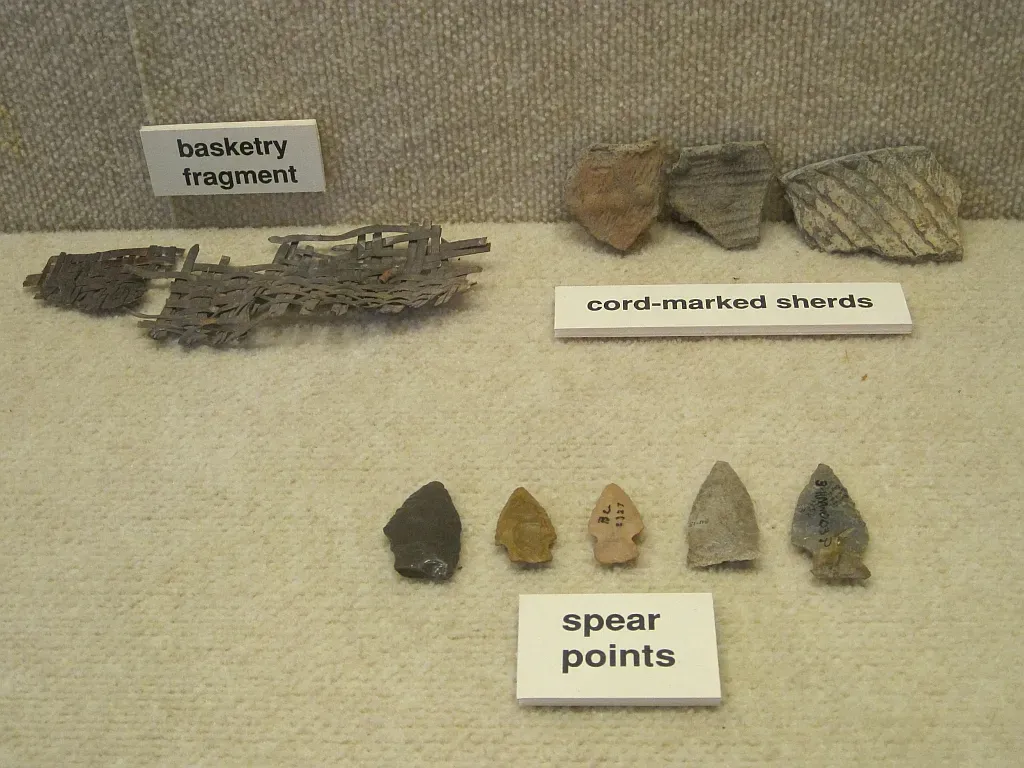 7. The Cooper's Ferry Tools: Rewriting the Timeline of Human Arrival (By Thomas R Machnitzki, CC BY 3.0)