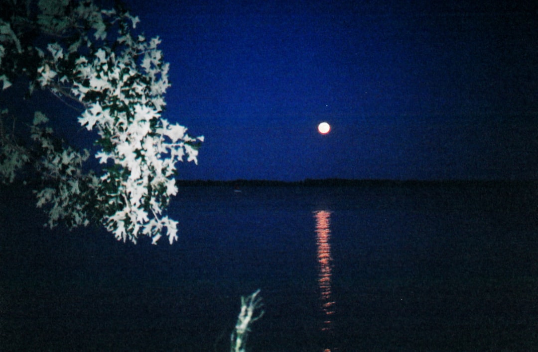 Moon Phases and Water Sign Connection (Image Credits: Unsplash)