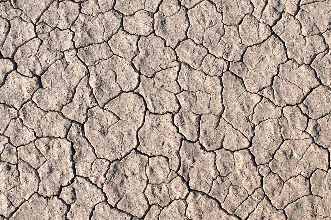 10. Self-Similar Cracks in Drying Mud, Glass, and Painted Surfaces (Image Credits: Unsplash)