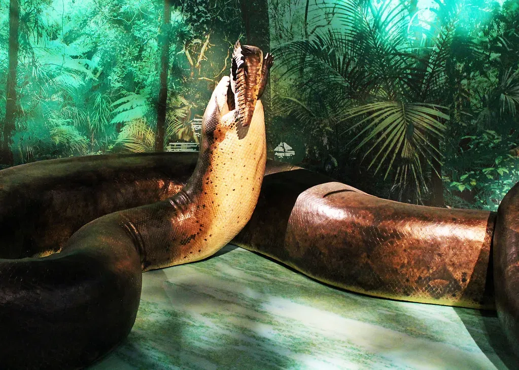 7. Titanoboa: The Snake That Outgrew Every Nightmare You Have Ever Had (Ryan J. Quick, Flickr, CC BY 2.0)