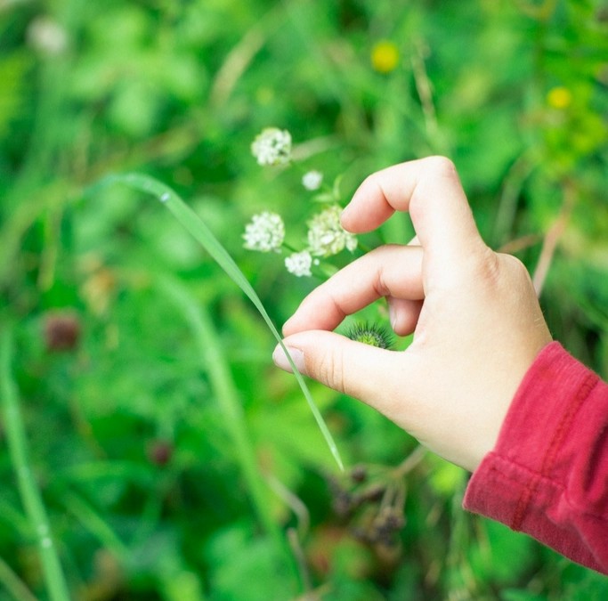 The Hidden Clues (Image Credits: Rawpixel)