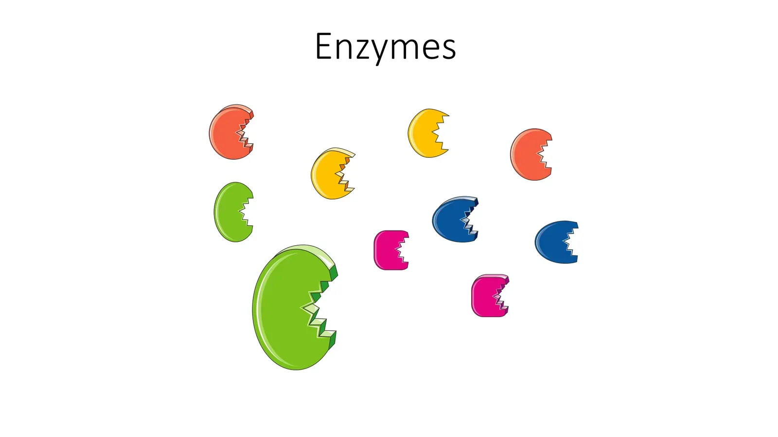 Enzymes, Smell, and the Quantum Machinery of Everyday Life (Image Credits: Wikimedia)