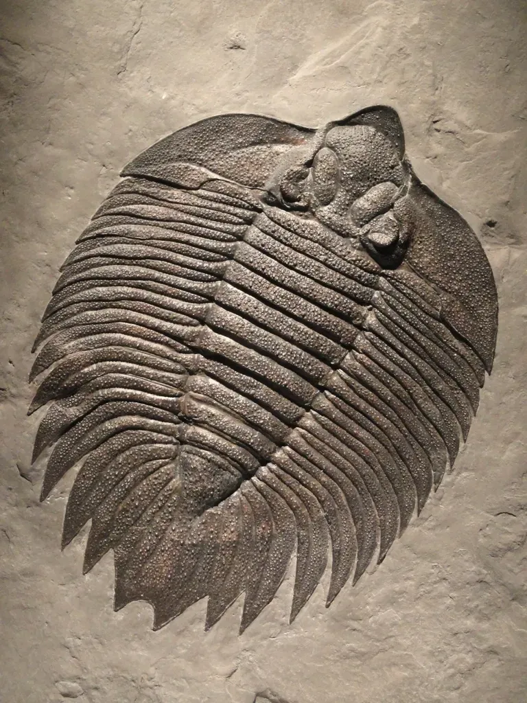 Science Looks Back: New Tools, Old Questions (Image Credits: Rawpixel)