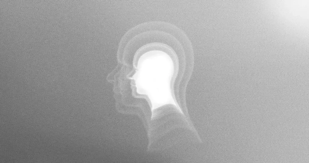 Memory, Information, and the Possibility of Survival (Image Credits: Unsplash)