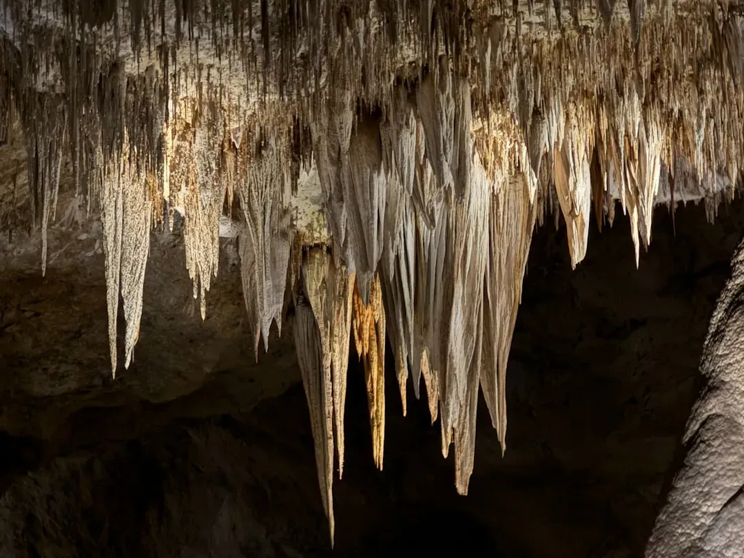 A World Without Sunlight: How Cave Life Powers Itself (Image Credits: Unsplash)