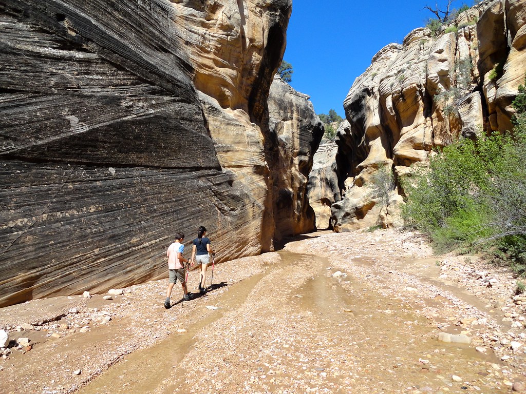 Willis Creek Narrows: Where Gentle Waters Carve Deep Beauty (Image Credits: Flickr)