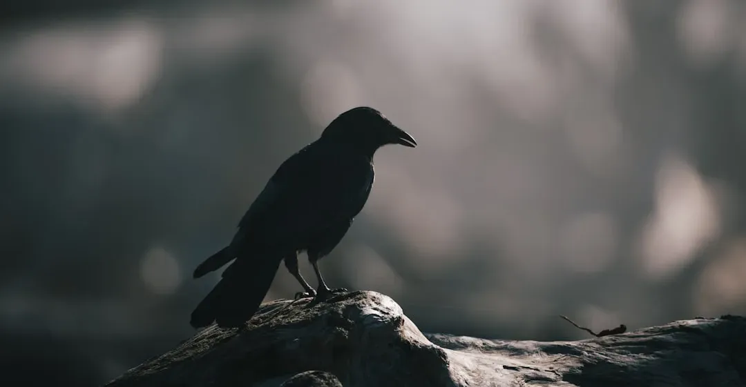 Conclusion: Nature Keeps Writing Chapters We Can't Finish Reading (Image Credits: Unsplash)