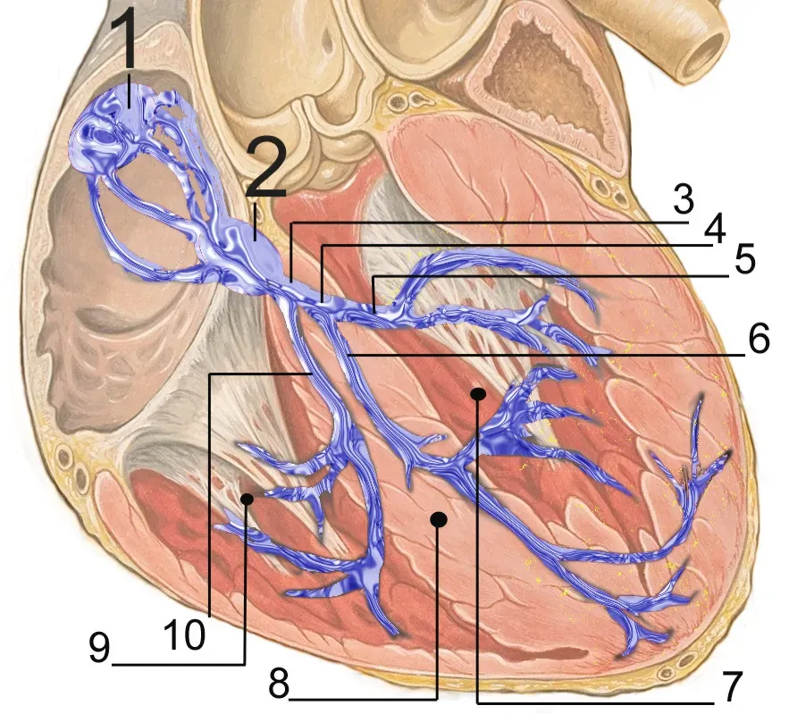 An Emotional Barometer Hidden in Plain Sight (Image Credits: Wikimedia)