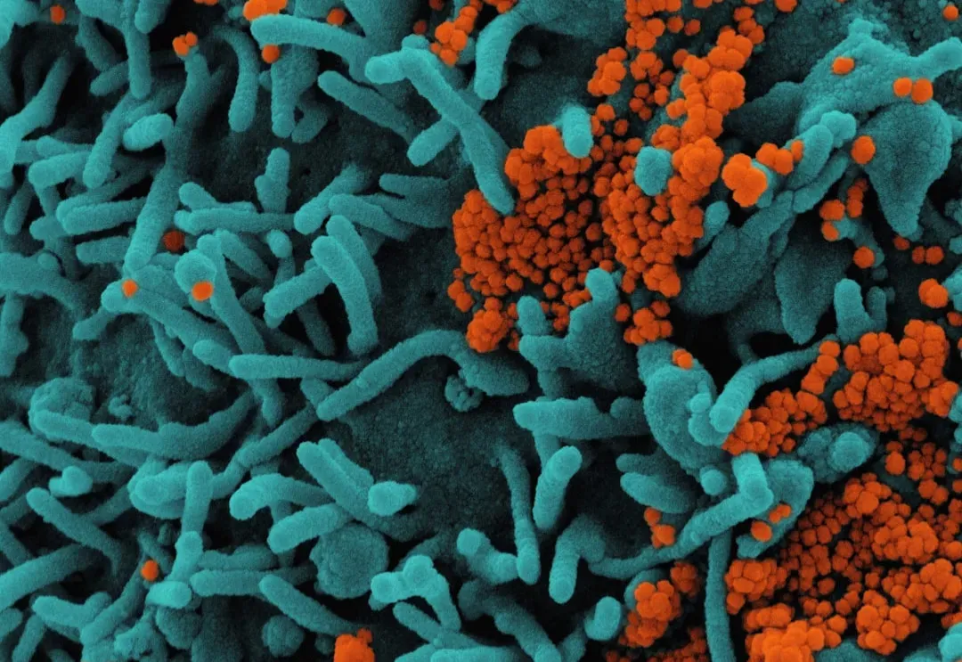 Microbes in Our Bodies: Friends, Foes, and Everything Between (Image Credits: Unsplash)