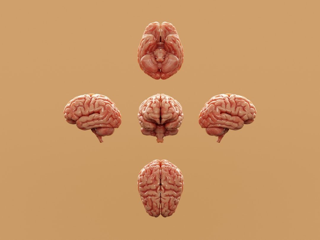 Beyond Horoscopes: How Psychology and Neuroscience Reframe Personality (Image Credits: Unsplash)