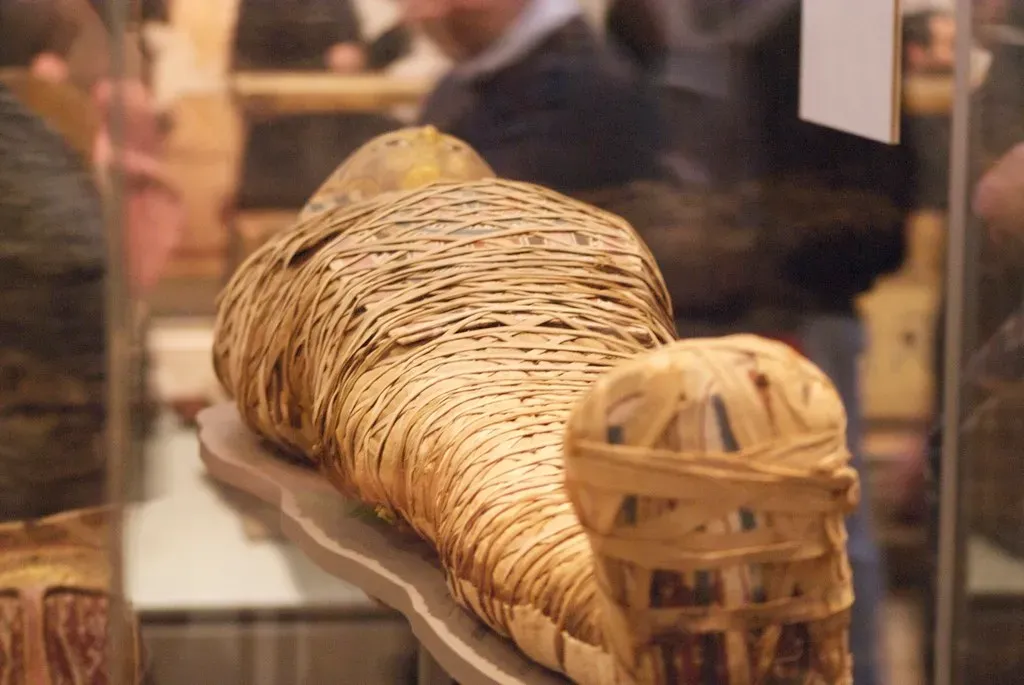 #4 - "Mystery Mummies" Quietly Dated in Museum Basements (p_a_h, Flickr, CC BY 2.0)