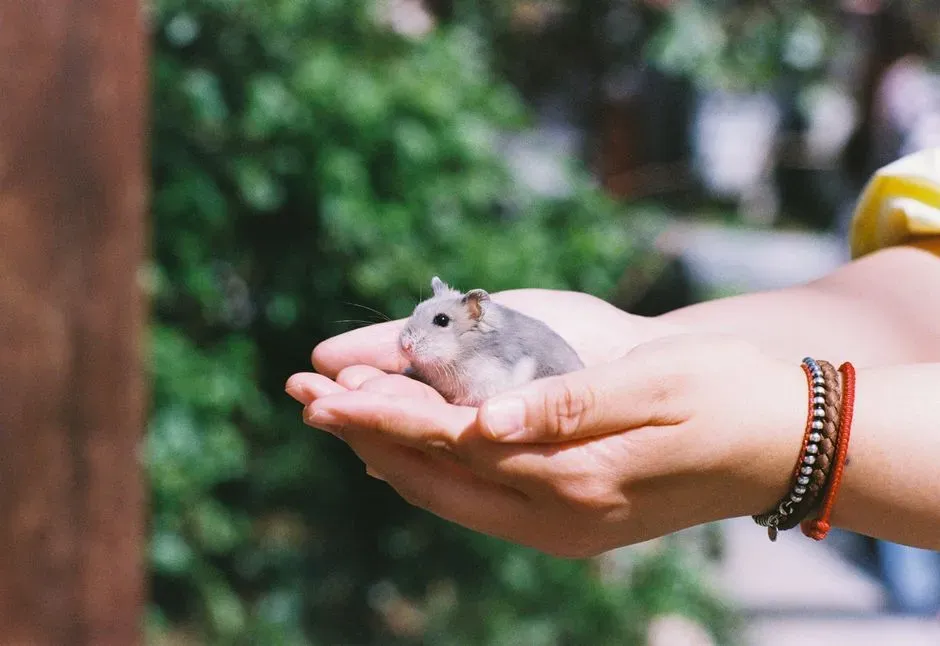 Hormones of Trust: Oxytocin, Stress Relief, and Warmth (Image Credits: Pexels)