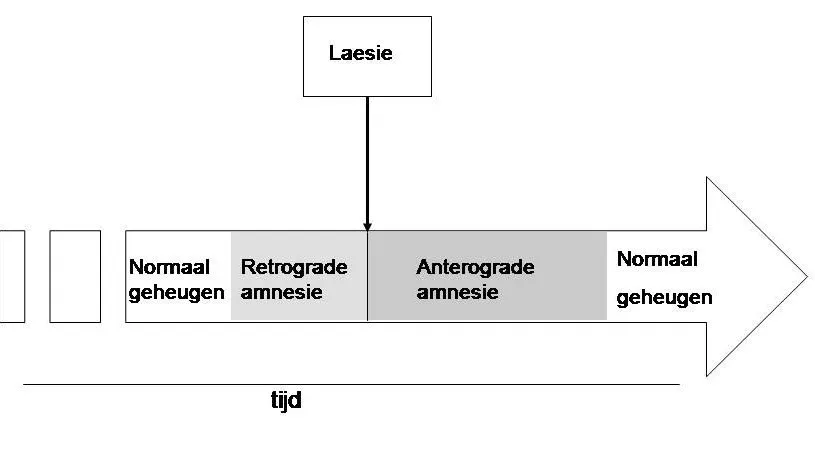 The Future Landscape: Can We Hack Forgetting? (Image Credits: Wikimedia)
