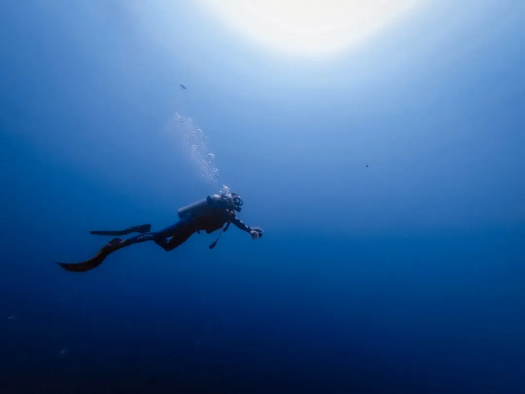 The Dive Reflex: Your Body Thinks You Might Go Underwater Any Second (Image Credits: Unsplash)