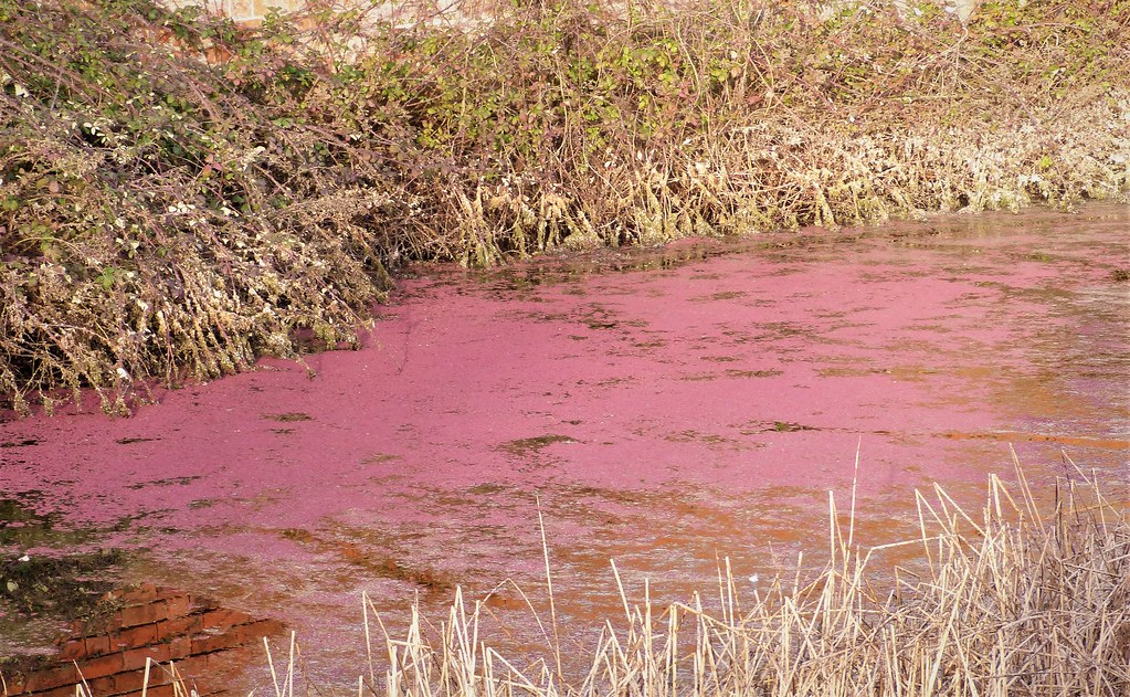 South Fork Eel River: Northern California's Hidden Danger (Image Credits: Flickr)