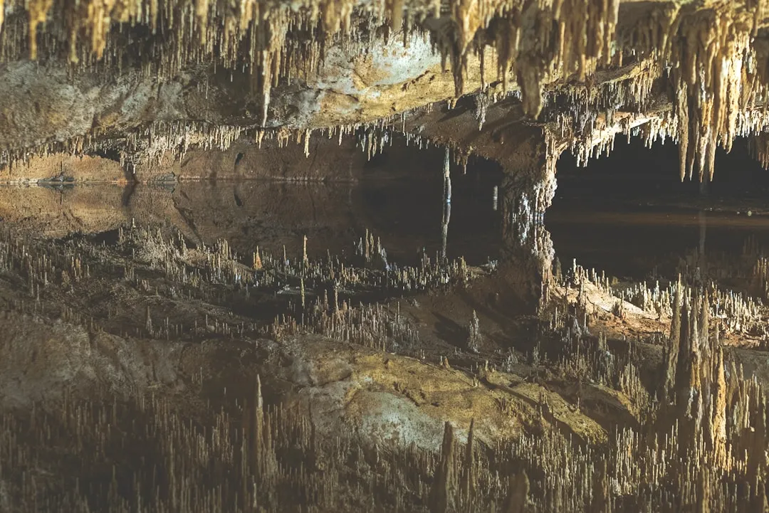 Life Without Sunlight: How Cave Bacteria Survive (Image Credits: Unsplash)