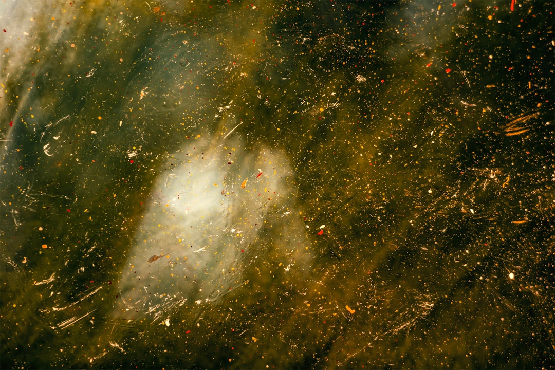 The Urban Space Dust Revolution (Image Credits: Unsplash)