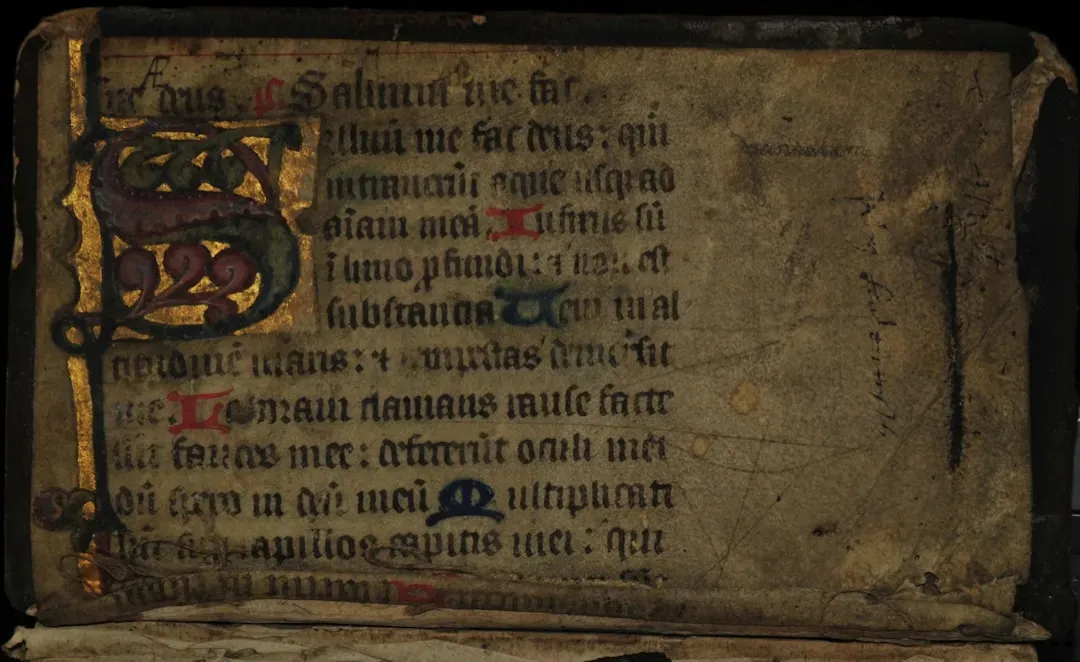 #13 - Medieval Charters That Mention "Germany" Before Germany (Image Credits: Unsplash)