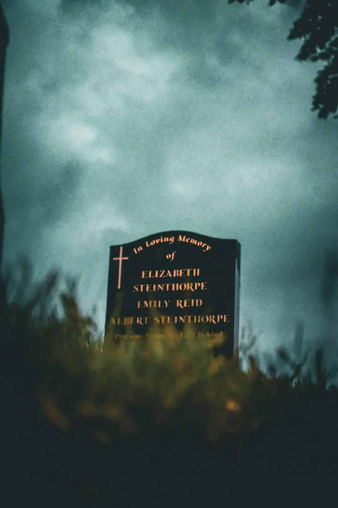Why It Matters: Rethinking Death, Meaning, and What We Value (Image Credits: Unsplash)