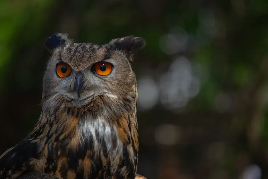 10. The Low, Repeated Hoots of an Owl Watching You from Afar (Image Credits: Pexels)