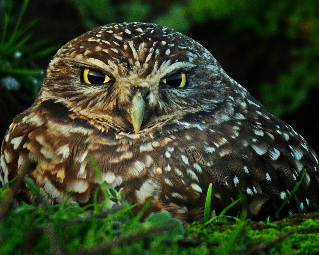 Conclusion (Image Credits: Flickr)