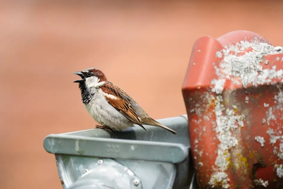 7. Tweaking Communication: Louder, Higher, and Smarter Calls (Image Credits: Pexels)