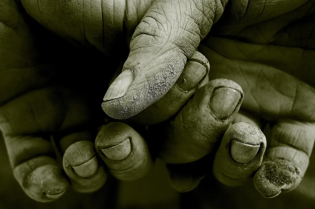 #9 - The Cretaceous "Human Finger" That Wasn't (Image Credits: Pixabay)